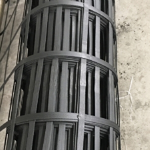 Steel plastic geogrid